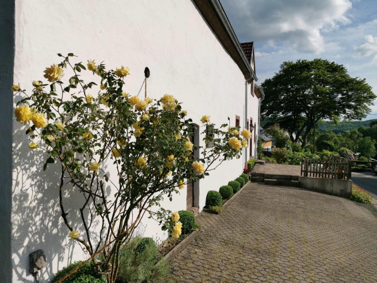 Ferienhaus Vulkaneifel Landhaus Loogh Kerpen  Exteriör bild
