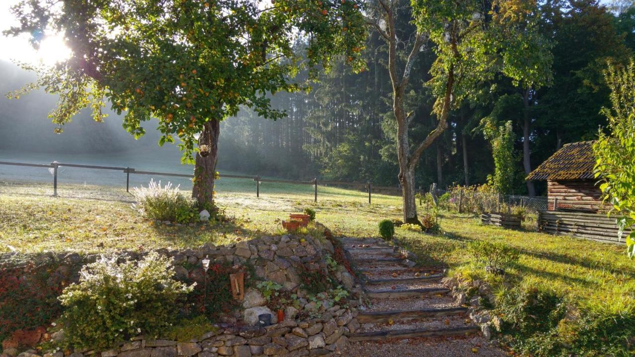 Ferienhaus Vulkaneifel Landhaus Loogh Kerpen  Exteriör bild