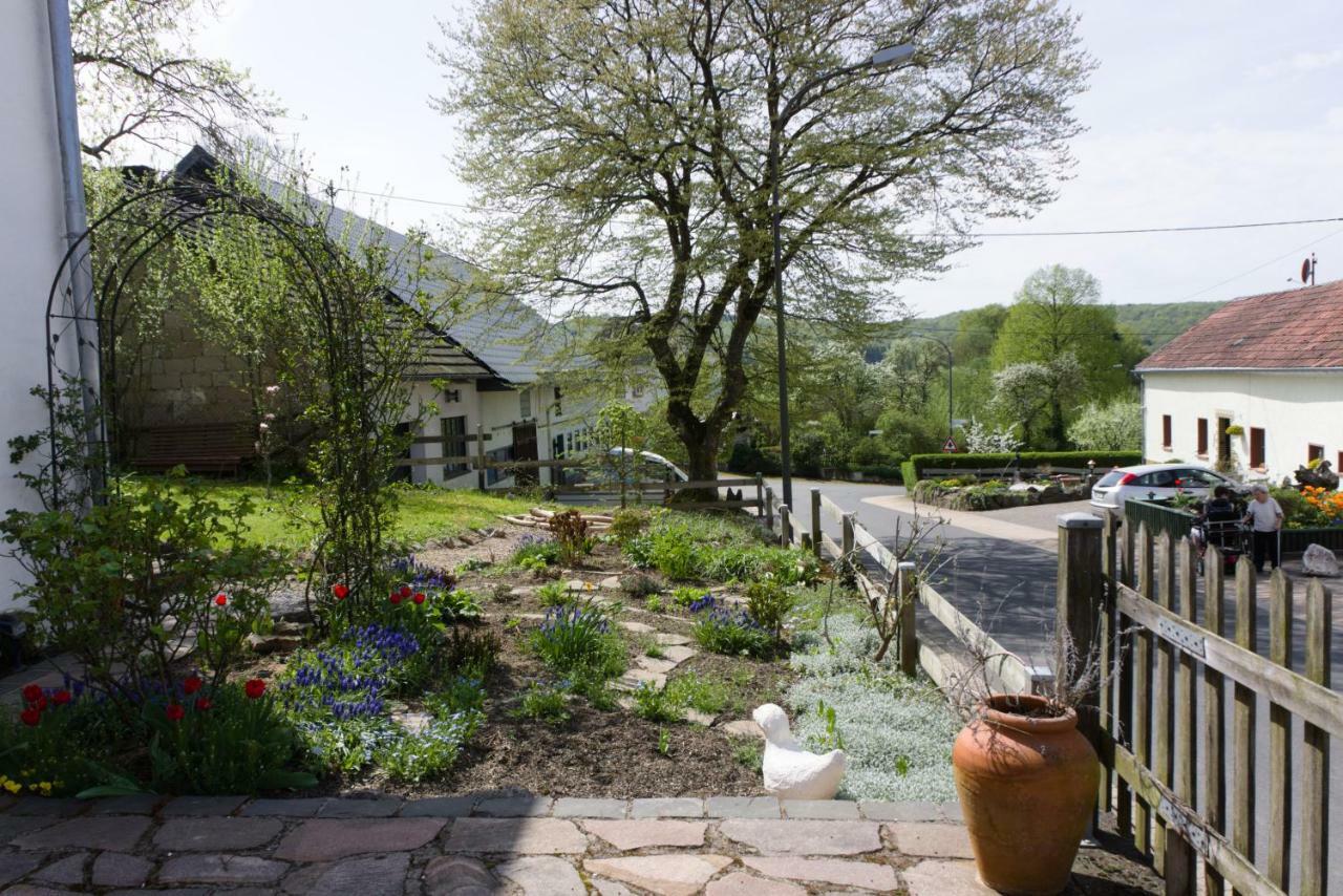 Ferienhaus Vulkaneifel Landhaus Loogh Kerpen  Exteriör bild