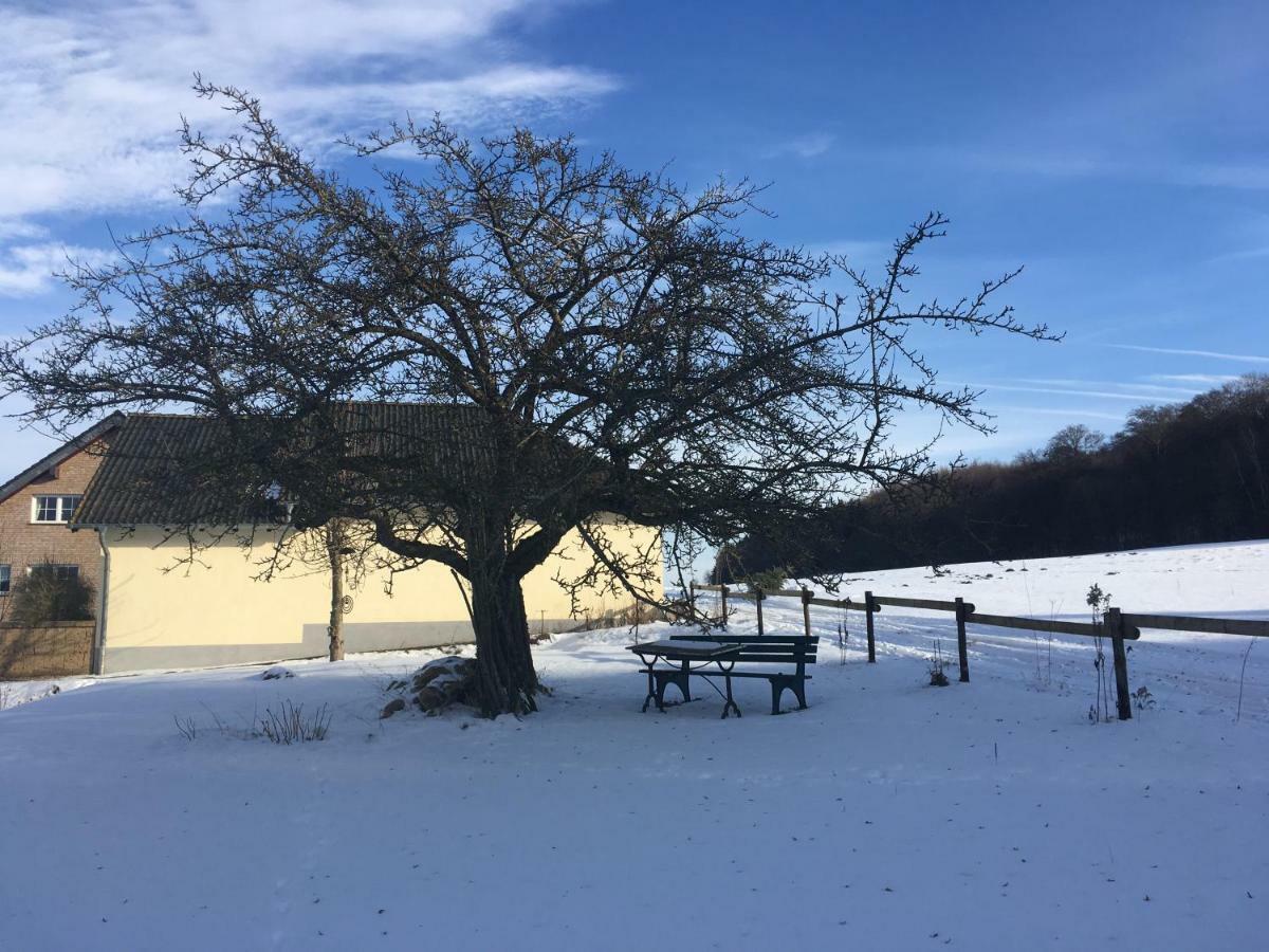 Ferienhaus Vulkaneifel Landhaus Loogh Kerpen  Exteriör bild